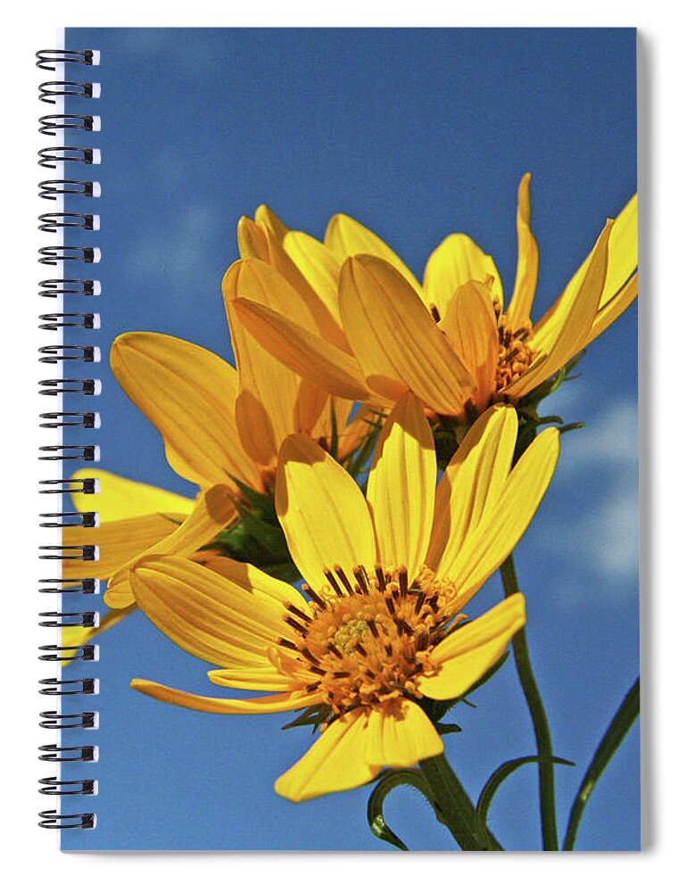 Flowers Spiral Notebook featuring the photograph Happy by Tiffany Whisler
