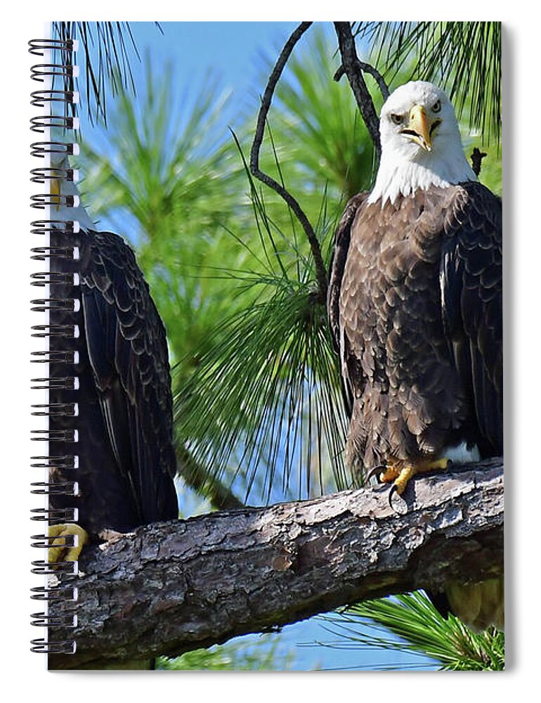 Eagles Spiral Notebook featuring the photograph Harriet and M15 power couple by Liz Grindstaff