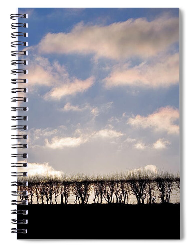 England Spiral Notebook featuring the photograph Hawthorne Hedge, England, Uk by Tim Graham