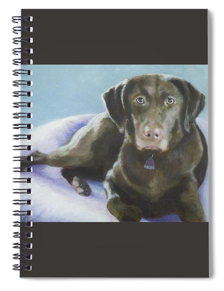 Chocolate Lab Spiral Notebook featuring the painting Hazel by Phyllis Andrews
