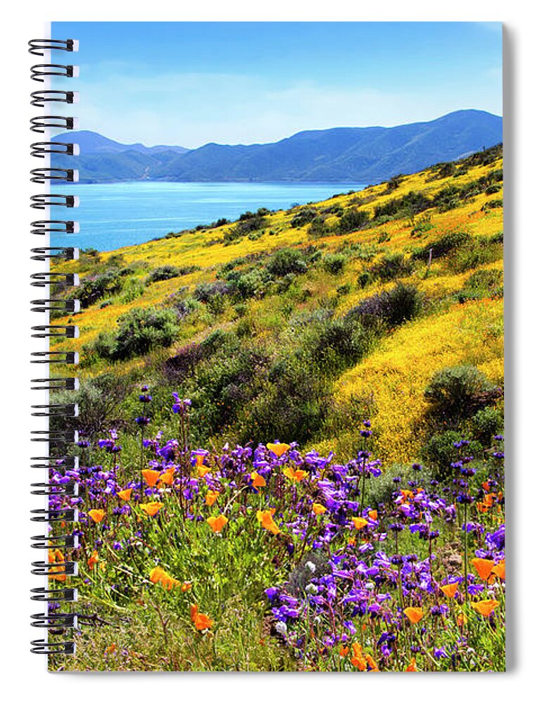 Superbloom Spiral Notebook featuring the photograph Heaven Scent - Superbloom 2019 by Lynn Bauer