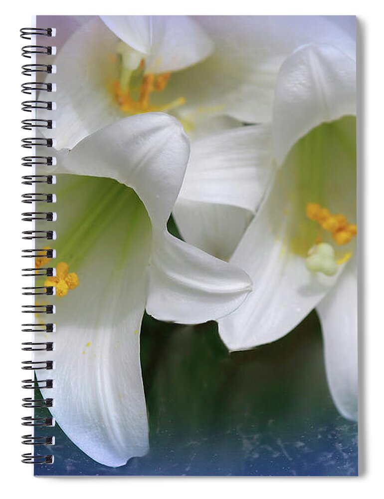 White Spiral Notebook featuring the digital art Heavenly Lilys by Bonnie Willis