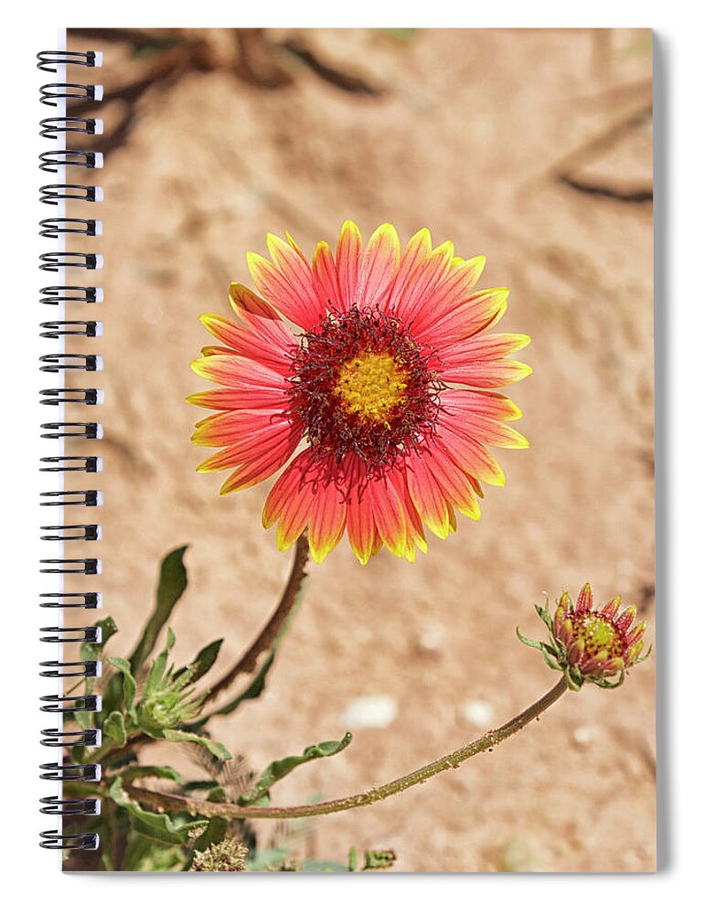  Spiral Notebook featuring the photograph Hello Flower by See It In Texas