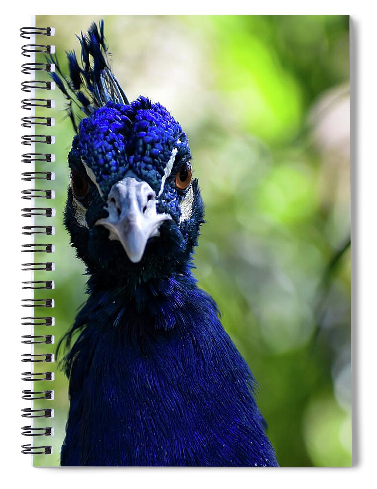 Hello Spiral Notebook featuring the photograph Hello by Melisa Elliott