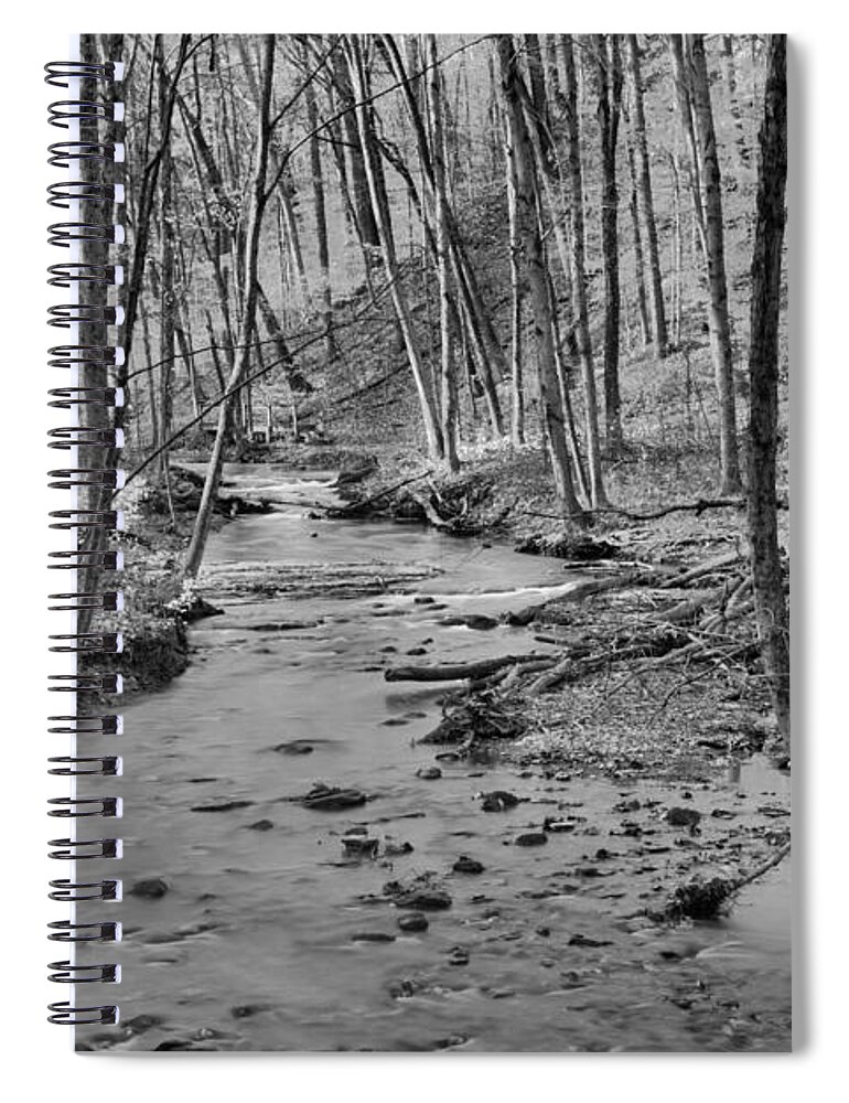 Hells Hollow Spiral Notebook featuring the photograph Hells Hollow Fall Foliage Black And White by Adam Jewell