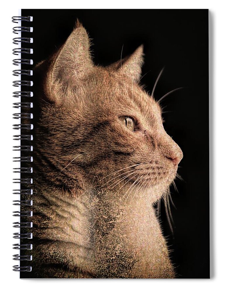 Pet Portraits Spiral Notebook featuring the photograph Henry The Mighty by Rene Crystal