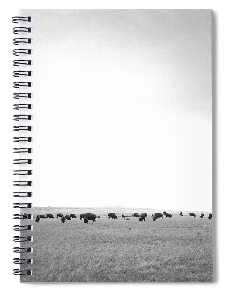 Grass Spiral Notebook featuring the photograph Herd Of Bison by Johannes Kroemer