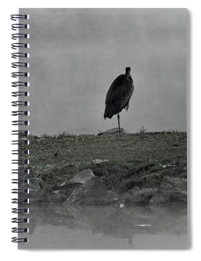 Wildlife Spiral Notebook featuring the photograph Heron In The Mist by John Benedict