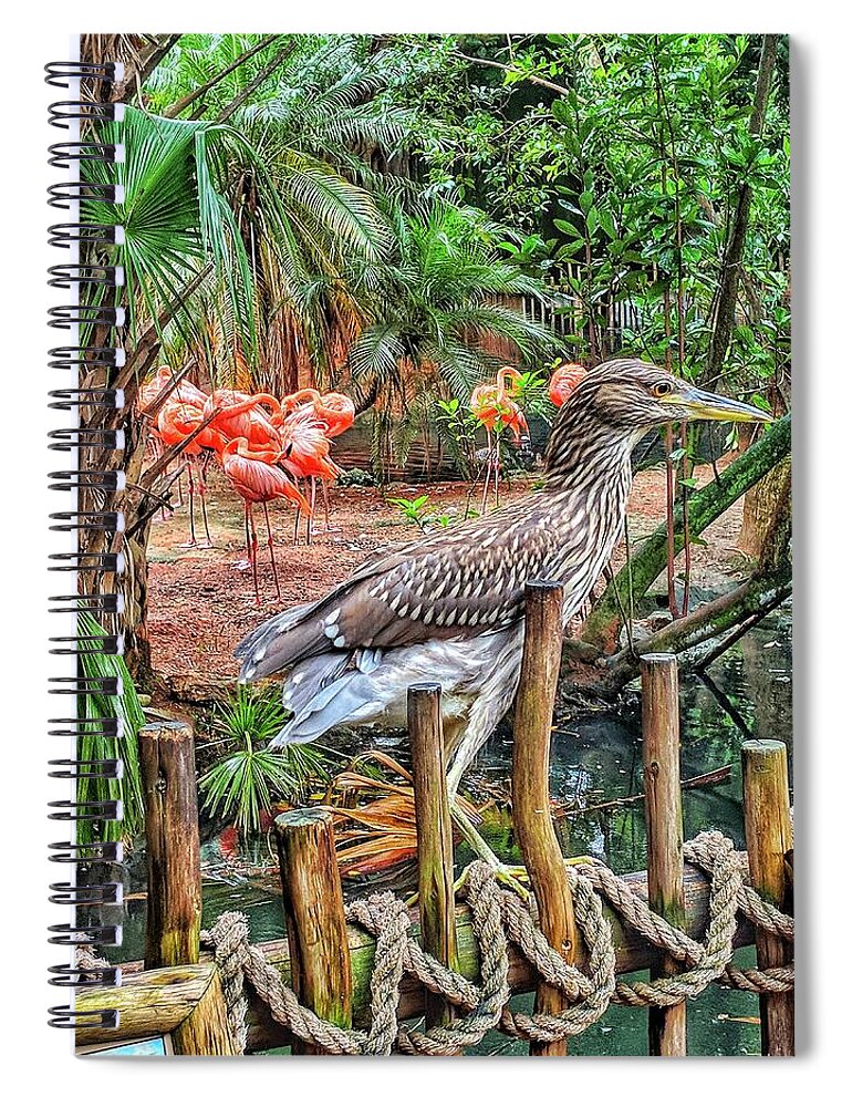 Bird Spiral Notebook featuring the photograph Heron On Guard by Portia Olaughlin