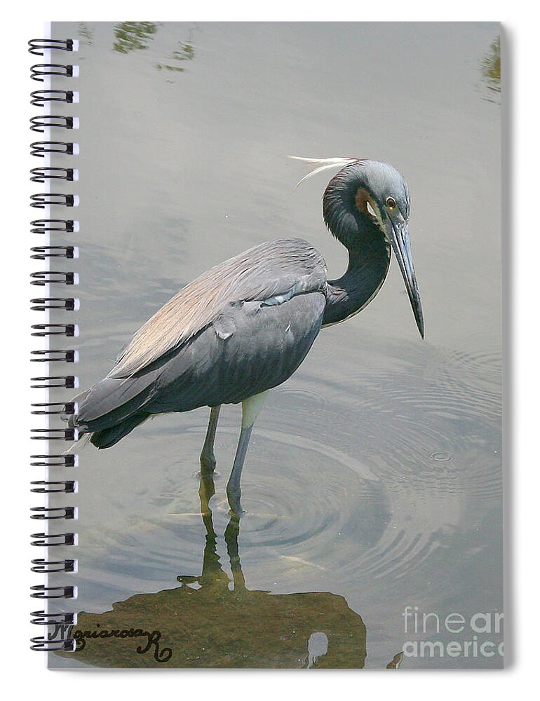 Fauna Spiral Notebook featuring the photograph Heron posing by Mariarosa Rockefeller