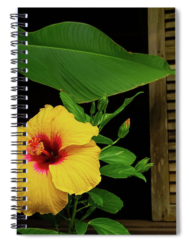 Hawaii Spiral Notebook featuring the photograph Hibiscus and Shutter by Doug Davidson