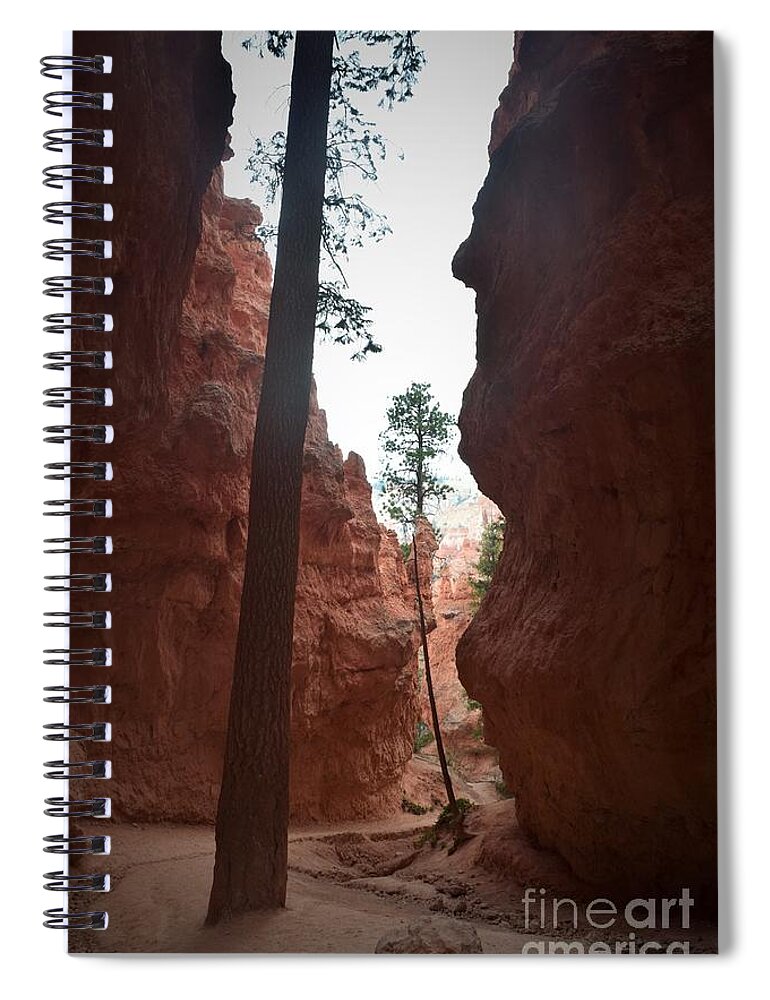 Utah Spiral Notebook featuring the photograph Hidden Forest, Bryce Canyon by Leslie M Browning