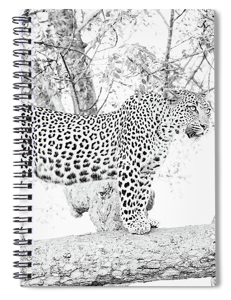 Leopard Spiral Notebook featuring the photograph High Key Leopard by Mark Hunter