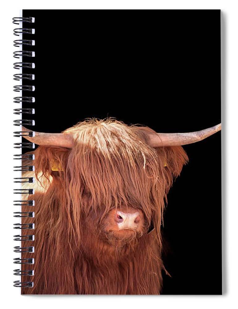 Horned Spiral Notebook featuring the photograph Highland Cattle In Barn Door by Kerrick