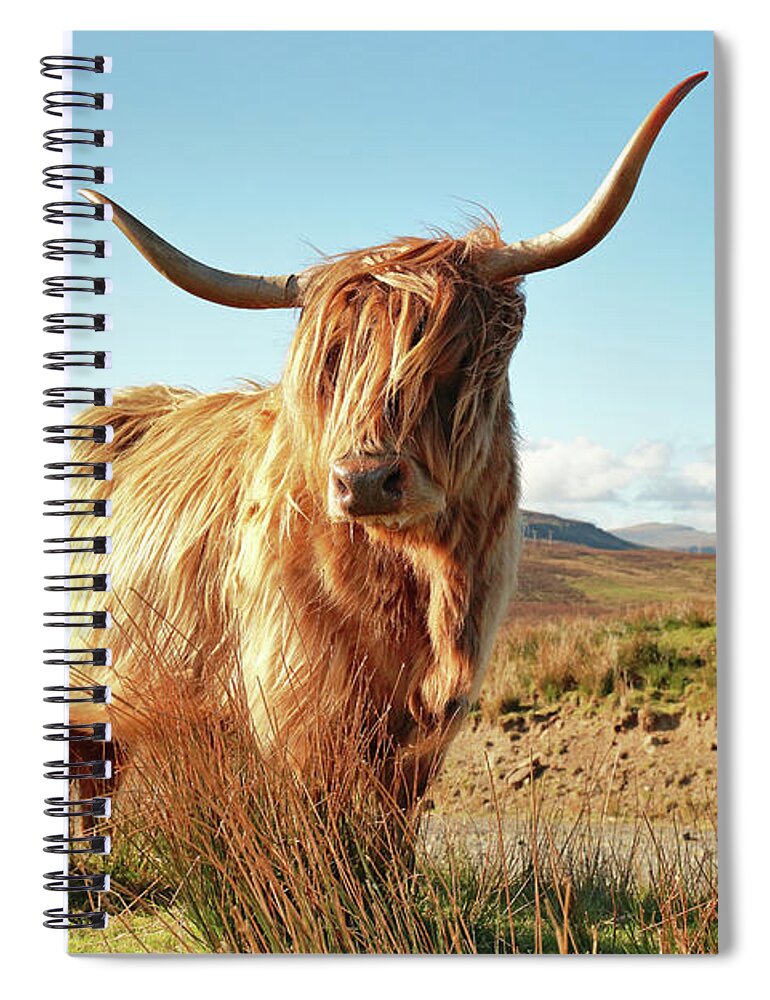 Highland Cow Spiral Notebook featuring the photograph Highland Cow - Isle of Skye by Grant Glendinning