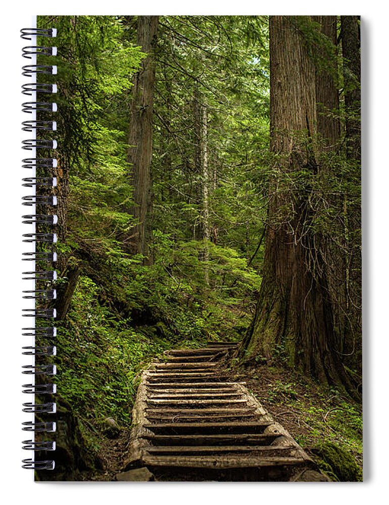 Hiking Trail Spiral Notebook featuring the photograph Hiking in Mt. Rainier, Washington by Julieta Belmont