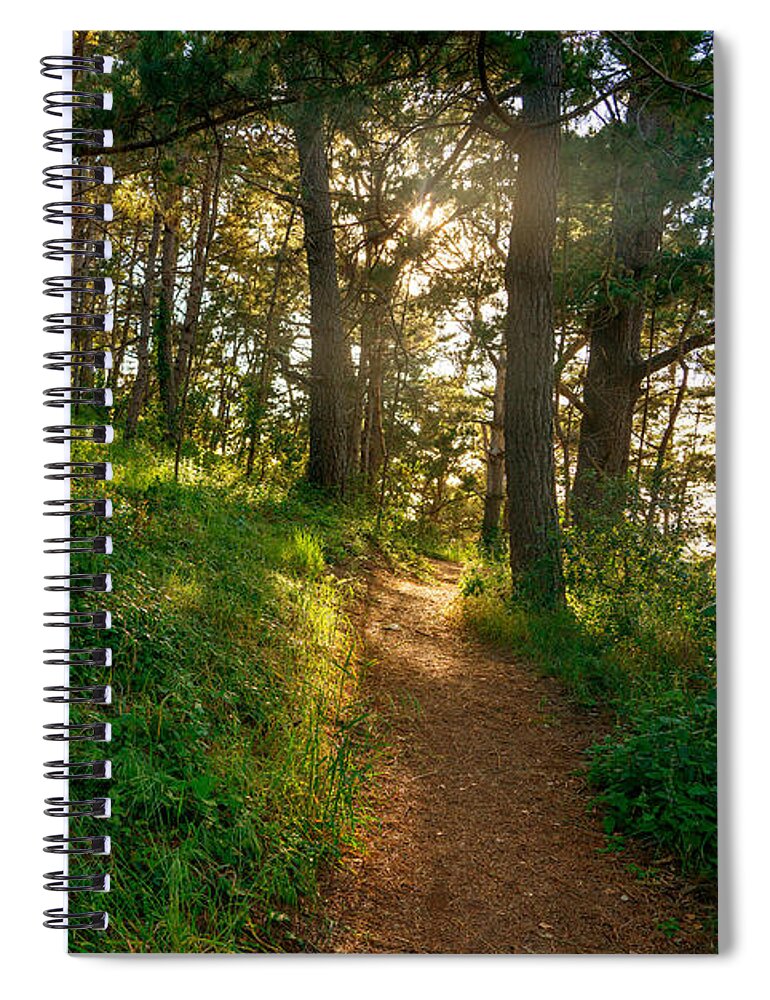 Hillside Path Spiral Notebook featuring the photograph Hillside Path by Derek Dean