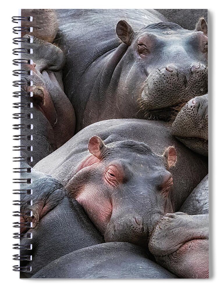 Mara Spiral Notebook featuring the photograph Hippo pod resting in the Mara River by Jane Rix