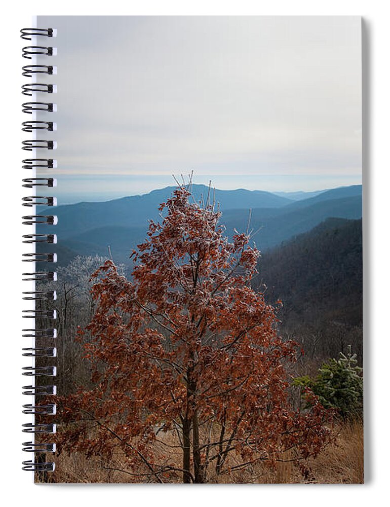 Blue Ridge Spiral Notebook featuring the photograph Hoarfrost on Fall Leaves by Mark Duehmig