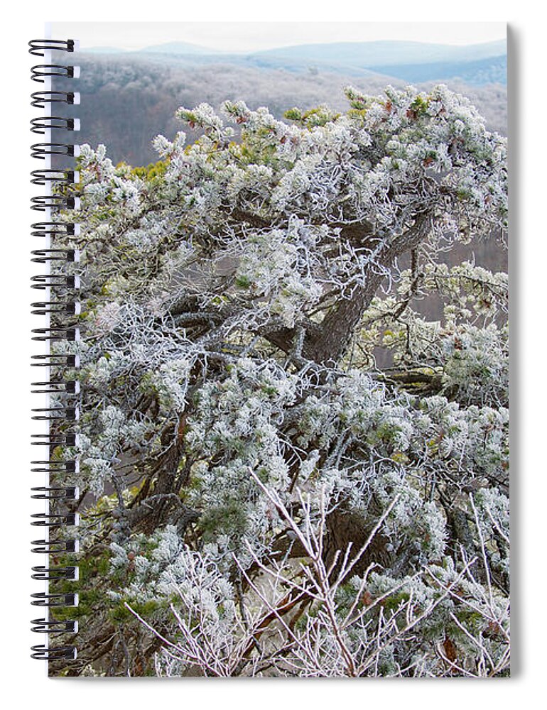 Blue Ridge Spiral Notebook featuring the photograph Hoarfrost on Trees by Mark Duehmig