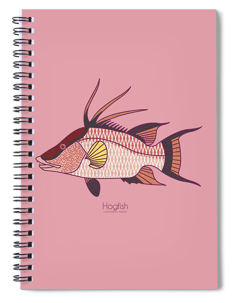 Hogfish Spiral Notebook featuring the digital art Hogfish by Kevin Putman