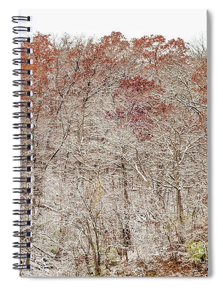 Trees Spiral Notebook featuring the photograph Holding Onto Fall by Tamara Becker