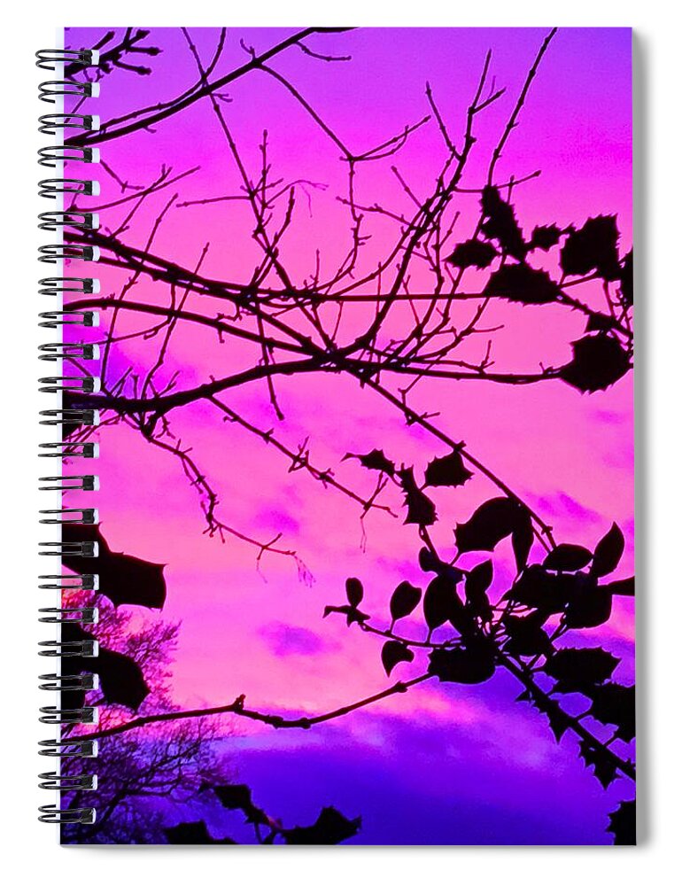 Landscape Spiral Notebook featuring the photograph Holly tree sunset neon purple and pink by Itsonlythemoon -