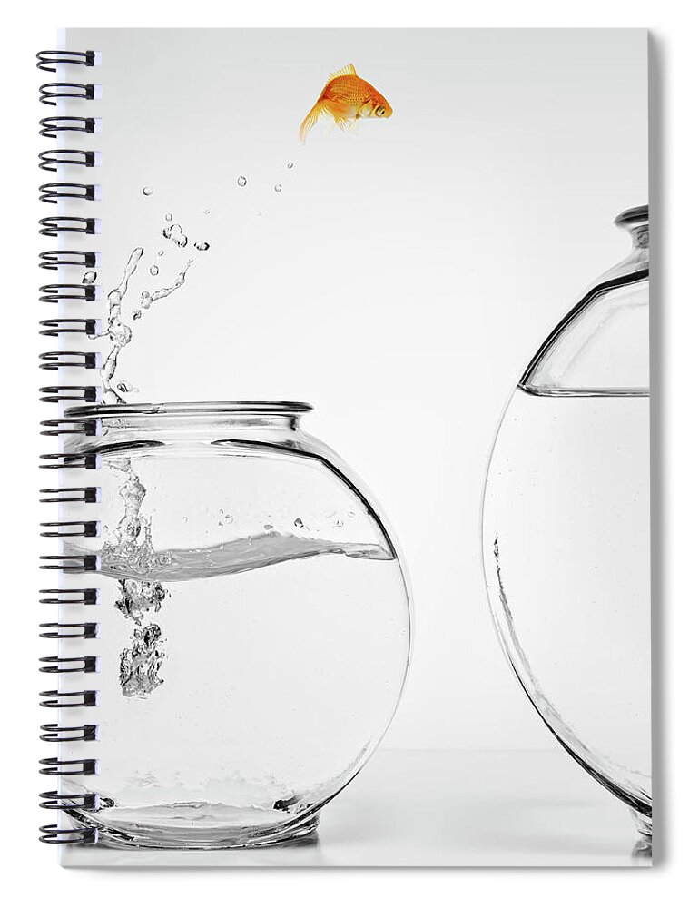 Pets Spiral Notebook featuring the photograph Home Improvement by Mphillips007