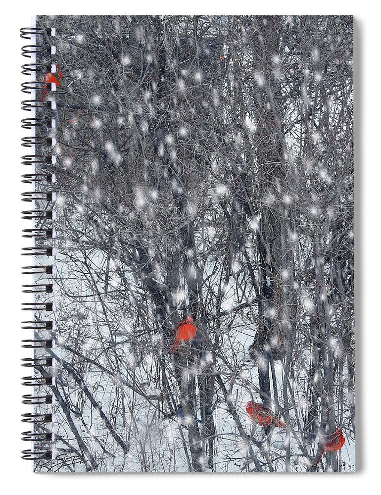 Cardinal Spiral Notebook featuring the photograph Home of the Cardinals by Rod Seel