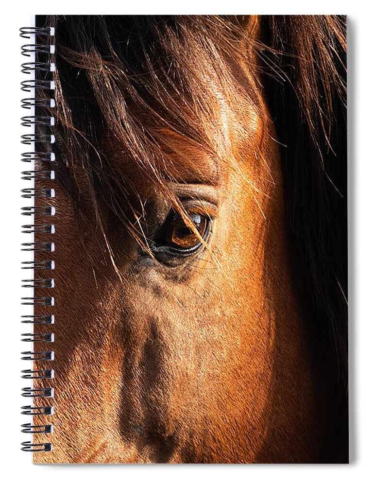 Horse Spiral Notebook featuring the photograph Wild Soul by Lisa Manifold