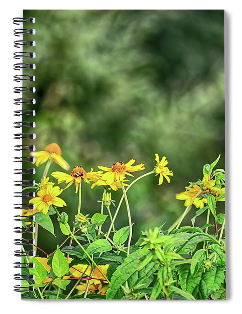 Honey Bee Spiral Notebook featuring the photograph Honey Bee on Maryland Golden Asters by Rebecca Carr
