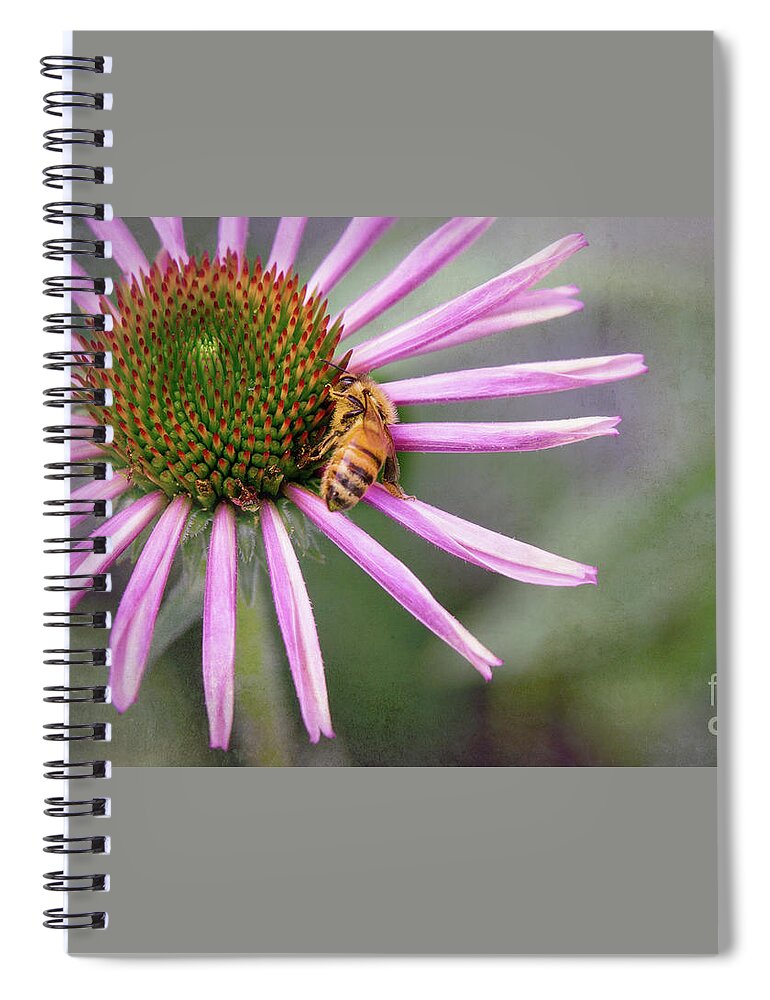 Echinacea Spiral Notebook featuring the photograph Honey Bee On Pink Coneflower by Sharon McConnell