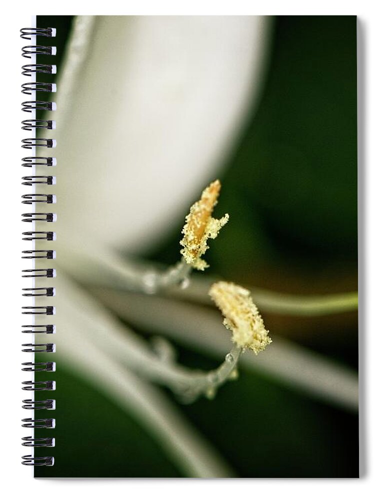 Nature Spiral Notebook featuring the photograph Honeysuckle by John Benedict