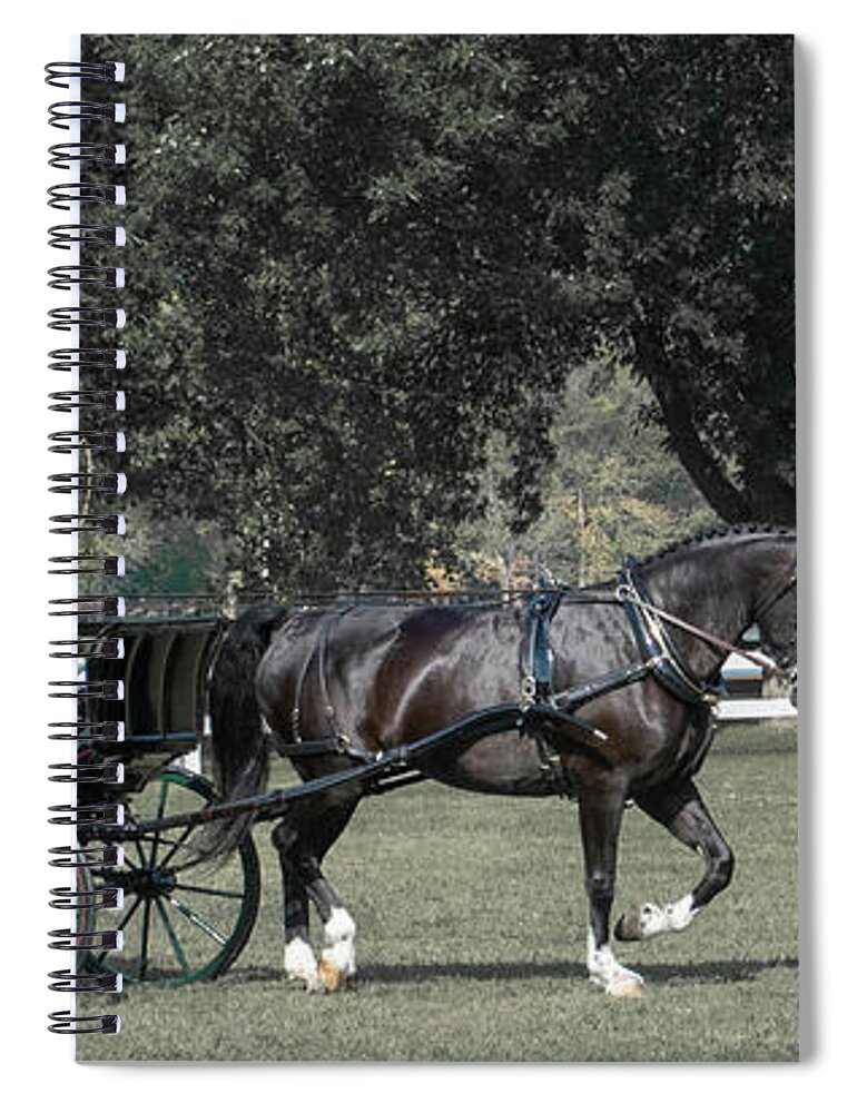 Horse Spiral Notebook featuring the photograph Horse 34 by Phil S Addis