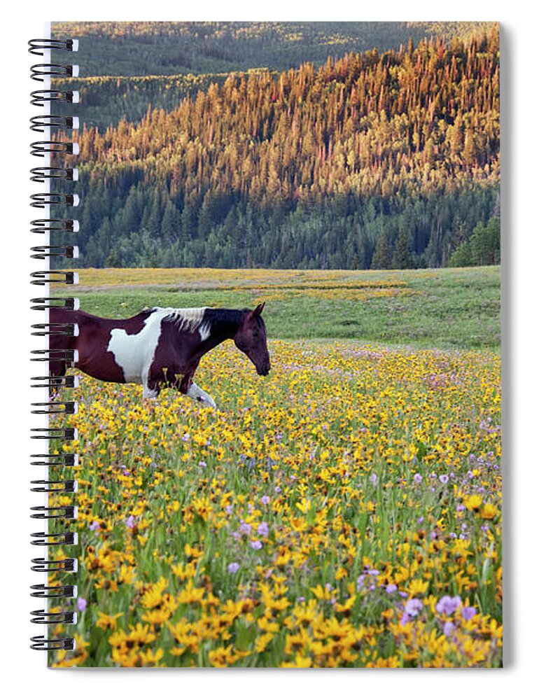 Horse Spiral Notebook featuring the photograph Horse In A Field Of Wildflowers. Uinta by Mint Images - David Schultz