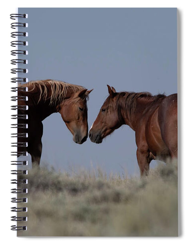 Horse Spiral Notebook featuring the photograph Horse Love by Patrick Nowotny