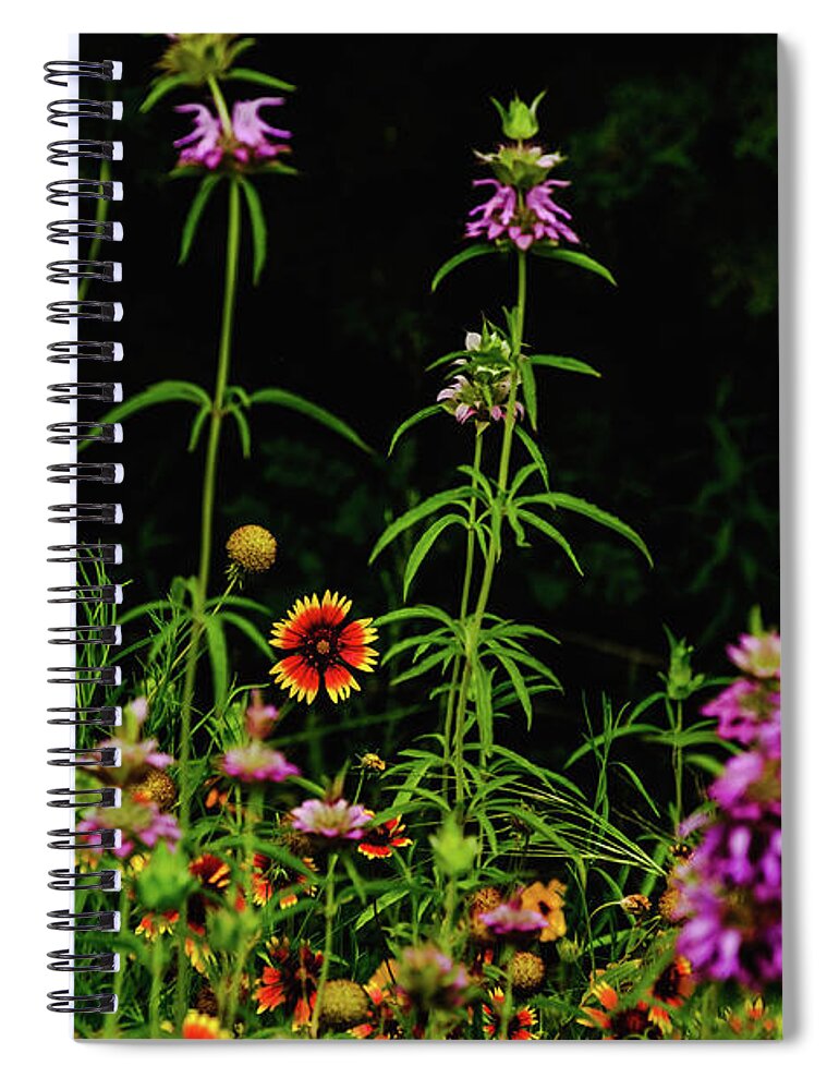 Texas Wildflowers Spiral Notebook featuring the photograph Horsemint Tall II by Johnny Boyd