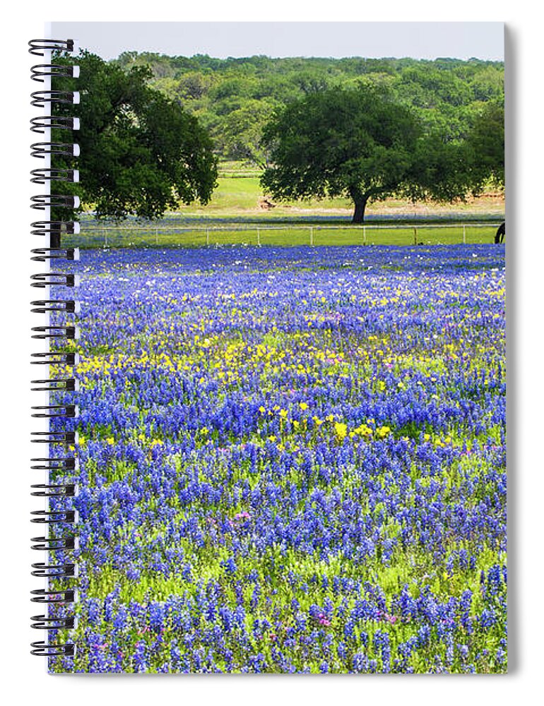 Horses In Bluebonnets Spiral Notebook featuring the photograph Horses In Bluebonnets II by Johnny Boyd