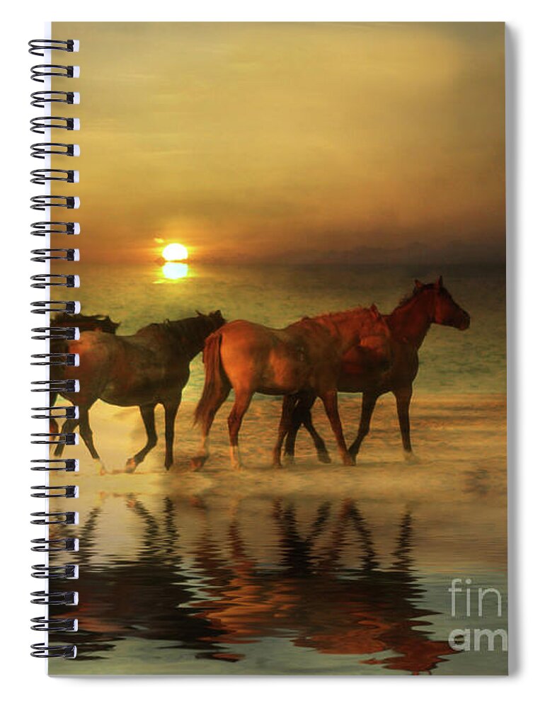 Horses Spiral Notebook featuring the photograph Horses on a Golden Beach at Sunset by Stephanie Laird