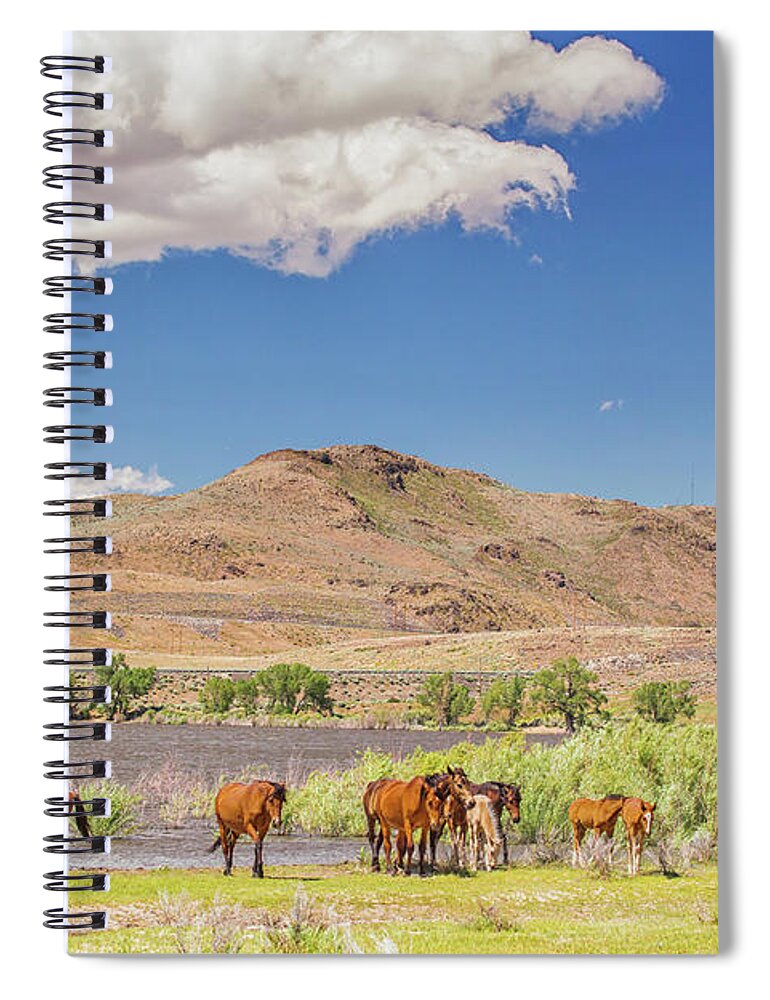 Nevada Spiral Notebook featuring the photograph Horses on the Shoreline by Marc Crumpler