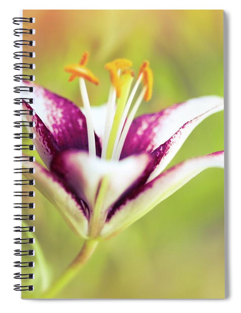 Flower Spiral Notebook featuring the digital art Hot Summer by Renette Coachman