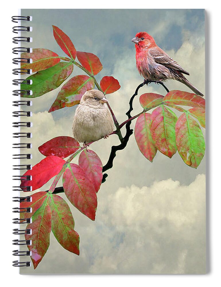 Bird Spiral Notebook featuring the digital art House Finches In Autumn by M Spadecaller