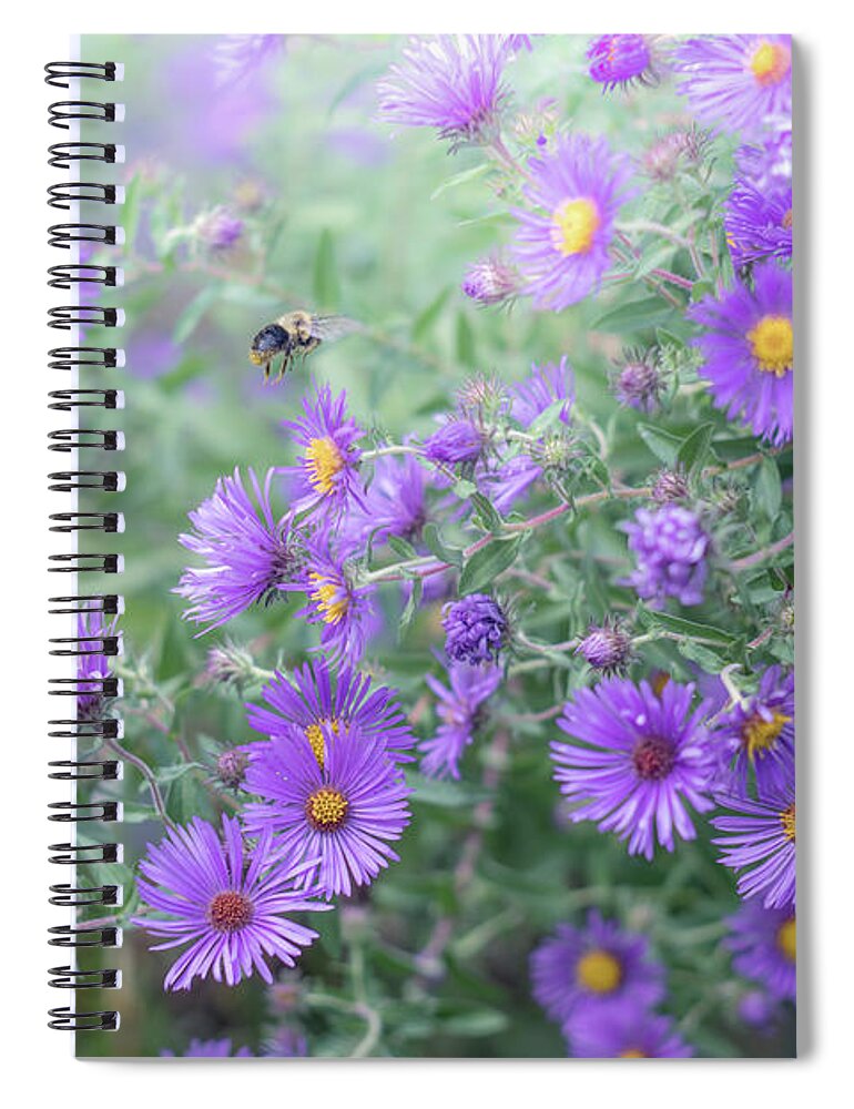 Nature Spiral Notebook featuring the photograph Hovering by June Marie Sobrito