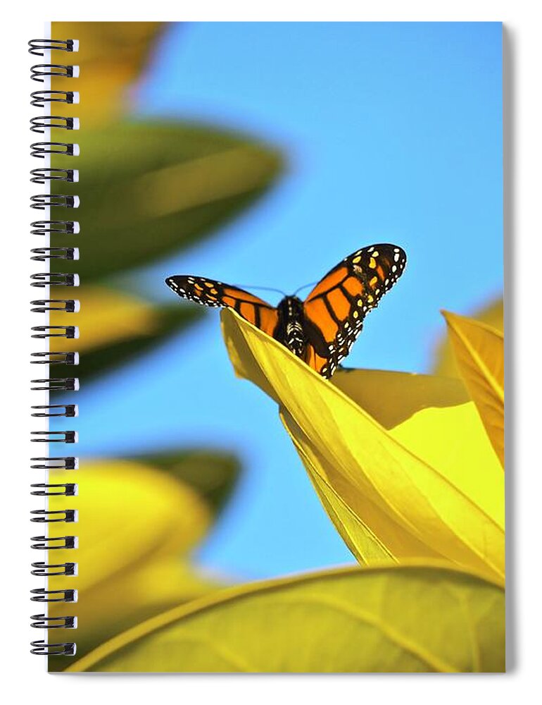 Nature Spiral Notebook featuring the photograph How Beautiful To Fly by Alida M Haslett