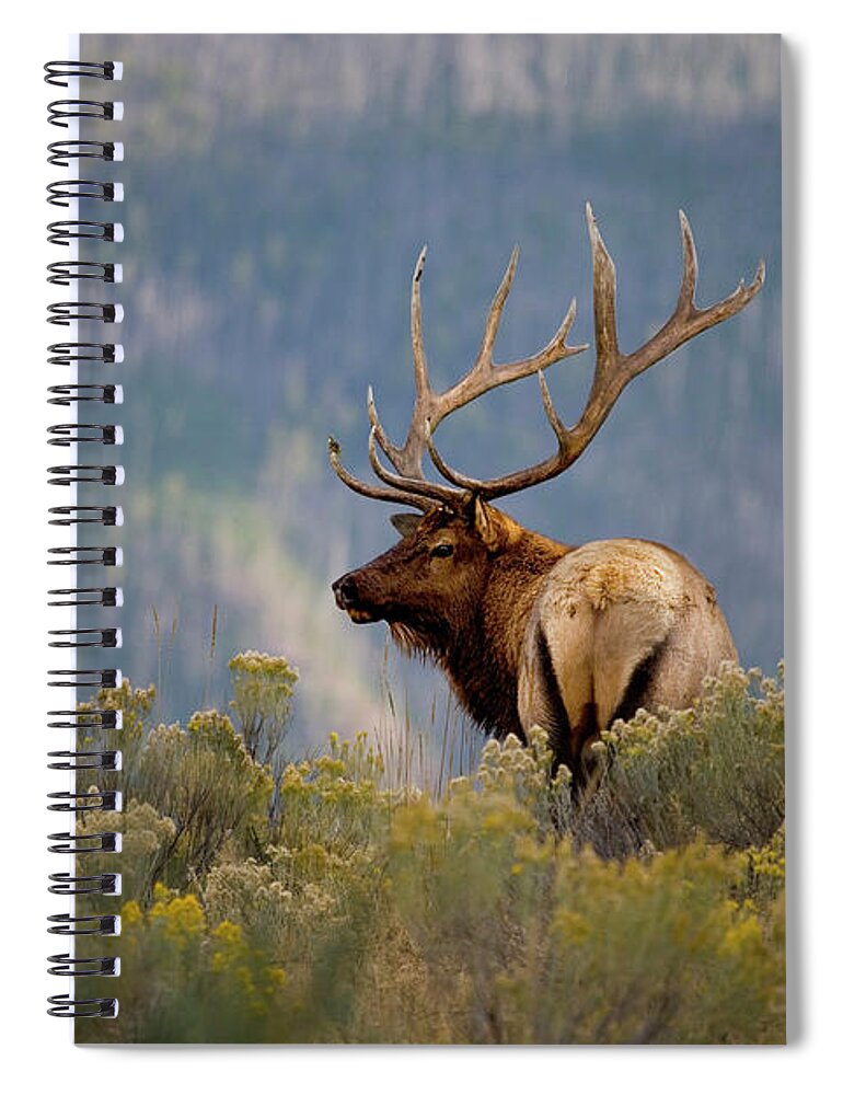 Scenics Spiral Notebook featuring the photograph Huge Bull Elk In A Scenic Backdrop by Birdofprey