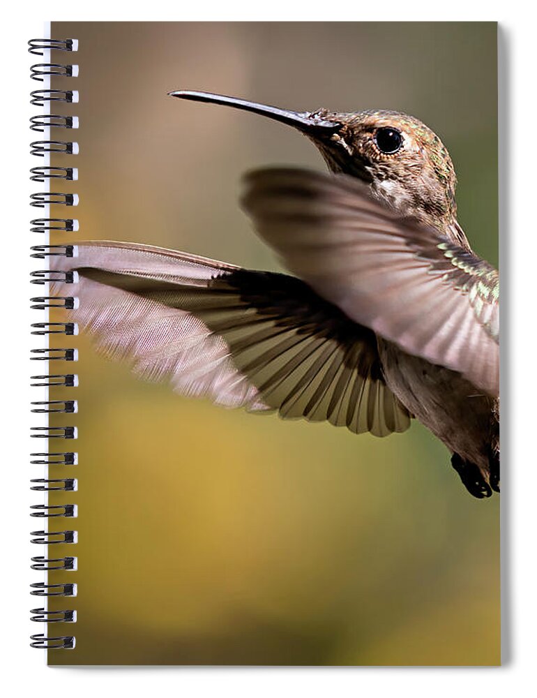 Hummer Spiral Notebook featuring the photograph Hummer 4 by Endre Balogh