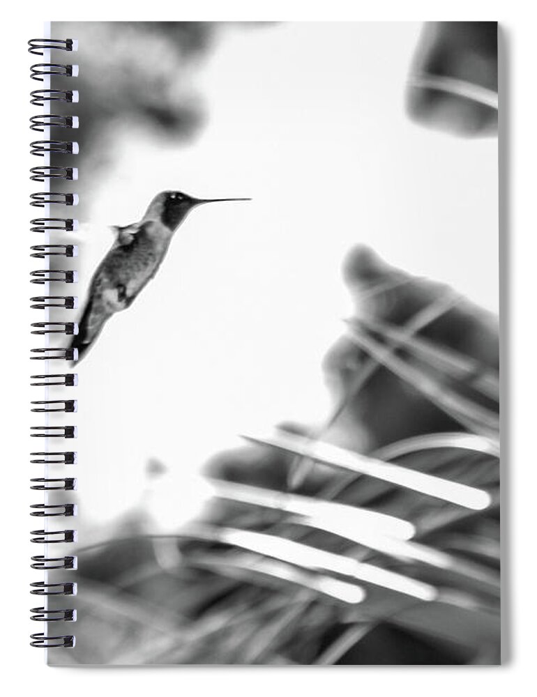 Photograph Spiral Notebook featuring the photograph Humminbird in Black and White by Kelly Thackeray