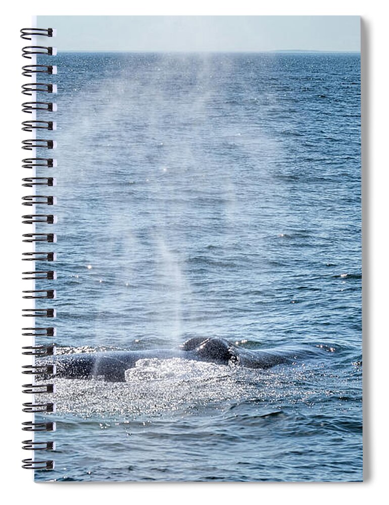 Whale Spiral Notebook featuring the photograph Humpback Whale Blow 1 by Lorraine Cosgrove