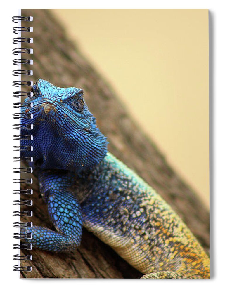  Spiral Notebook featuring the photograph I am turning Blue ... by Eric Pengelly