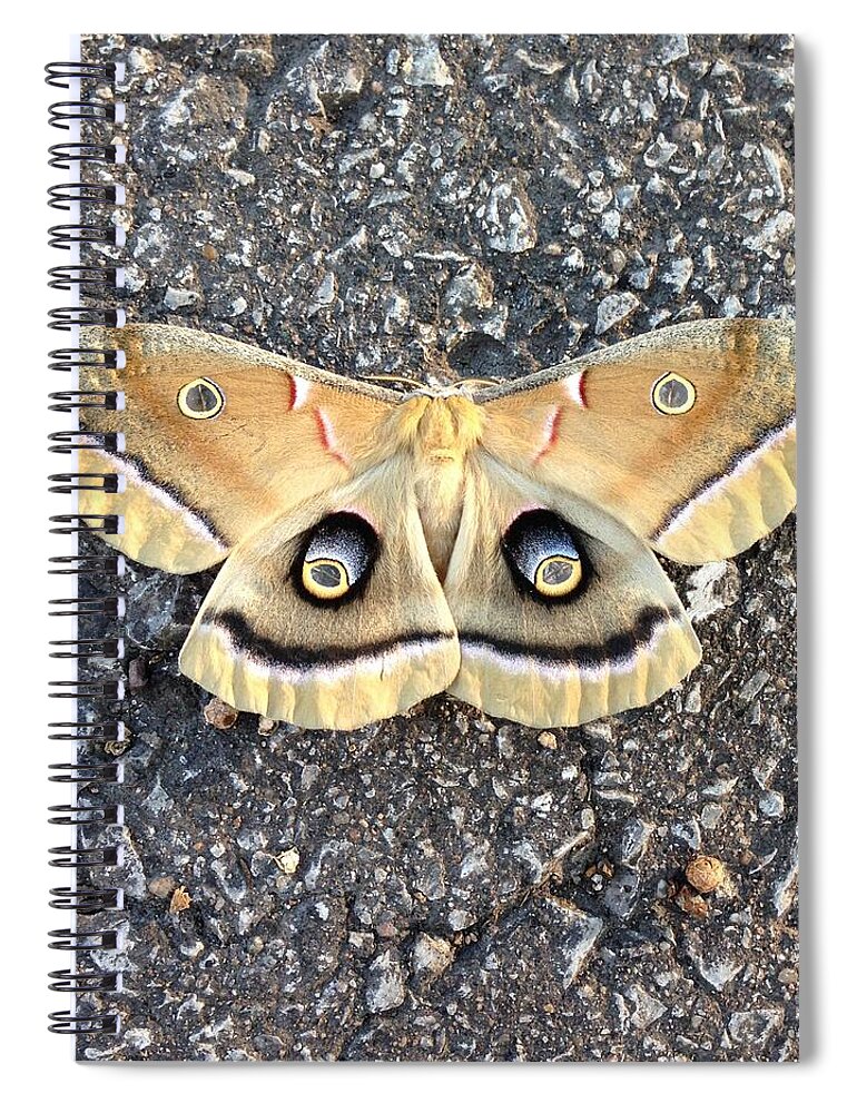 Animal Wing Spiral Notebook featuring the photograph I See Faces by Juj Winn